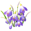 Purple Snowflake
