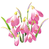 Pink Snowflake