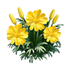 Sunflare Bloom