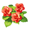Crimson Chinese Hibiscus