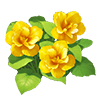 Yellow Chinese Hibiscus