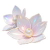 Pearl Magnolia