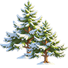 Christmas Spirit Pine