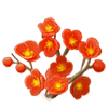 Maroon Wintersweet