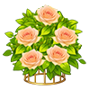 Champagne Gilded Rose