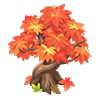 Maple Tree