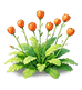 Amber Nemophila — stage 2