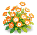 Amber Nemophila — stage 3