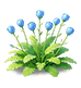 Blue Nemophila — stage 2
