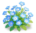 Blue Nemophila — stage 3
