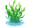 Swaying Green Seagrass — stage 3