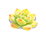 Jade Lotus Branch — stage 1