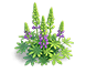 Purple Mist Lupine — stage 2