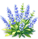 Deep Blue Lavender — stage 3