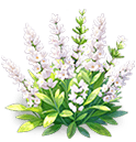 Frost Fluff Lavender — stage 3