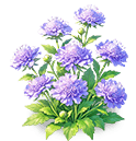 Indigo Pincushion Flower — stage 3