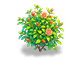 Crimson Pomegranate Bloom — stage 2