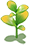 Sun-Facing Summer Hibiscus — stage 1
