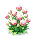 Snowtop Crimson Bud — stage 3