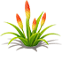 Molten Orange Torch Lily — stage 2