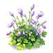 Starfall Columbine — stage 2