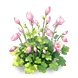 Crimson Gauze Columbine — stage 2