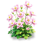 Crimson Gauze Columbine — stage 3