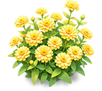 Warm Gold Crystal Zinnia — stage 3