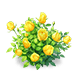 Golden Thorn Rose — stage 2