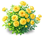 Golden Thorn Rose — stage 3