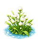 Frostfluff Cluster — stage 2
