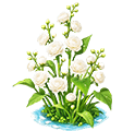 Frostfluff Cluster — stage 3