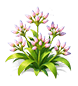 Rosy Cloud Cluster — stage 2