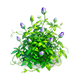 Indigo Core Lotus — stage 2