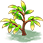 Cherry Pink Plumeria — stage 1