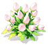 Light Pink Larkspur — stage 2