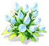 Light Blue Larkspur — stage 2