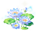 Glazed Tidal Lotus — stage 3