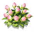 Soft Pink Impatiens — stage 2