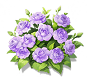 Smoky Purple Impatiens — stage 3