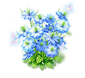 Mist Ripples Nigella — stage 3