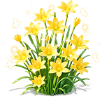 Dawn Rain Lily — stage 3
