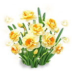 Warm Orange Narcissus — stage 3