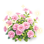 Peach Velvet Calibrachoa — stage 3