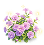 Glazed Purple Calibrachoa — stage 3