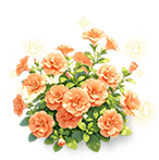 Tangerine Tide Calibrachoa — stage 3