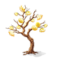 Golden Velvet Paperbush — stage 2
