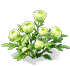 Cyan Chrysanthemum — stage 2