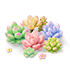 Soft Plush Clusters — stage 2