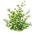 Pearlescent Cascade — stage 2
